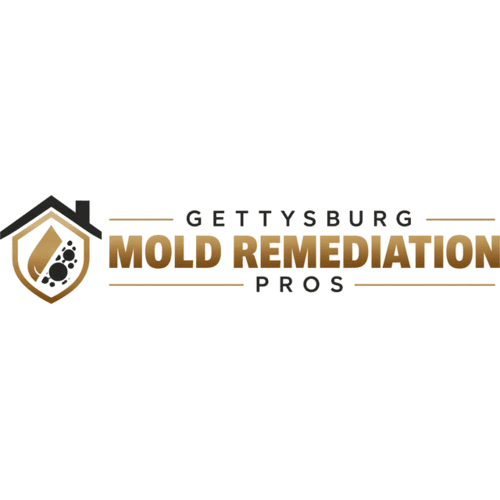 Gettysburg Mold Remediation Pros